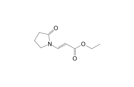 (E)-3-(2-ketopyrrolidino)acrylic acid ethyl ester