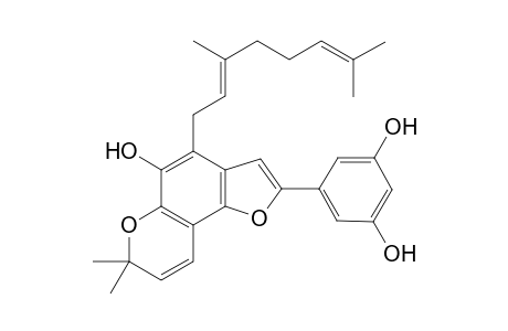 Sorocenol A