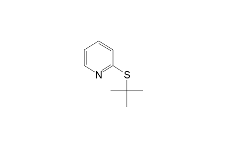 2-(tert-BUTYLTHIO)PYRIDINE