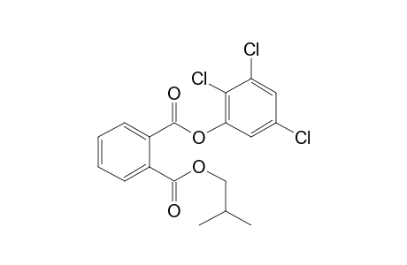 Phthalic acid, isobutyl 2,3,5-trichlorophenyl ester