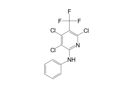 3,4,6-trichloro-N-phenyl-5-(trifluoromethyl)-2-pyridinamine