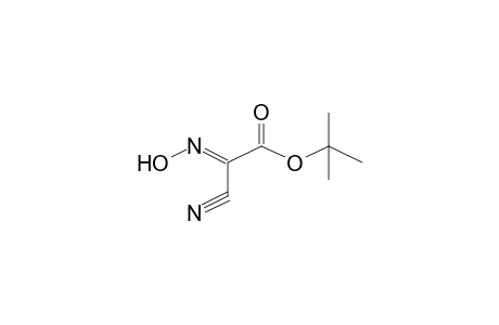 tert-Butyl (2E)-cyano(hydroxyimino)ethanoate