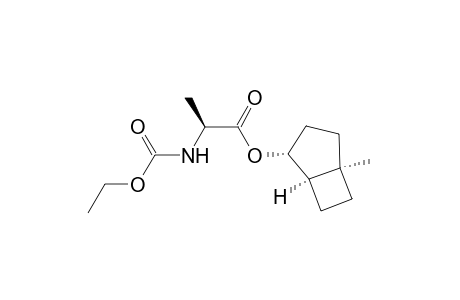 (1'R,2S,2'R,5'R)-2-[(Ethoxycarbonyl)amino]propionic acid 5-methylbicyclo[3.2.0]hept-2-yl ester