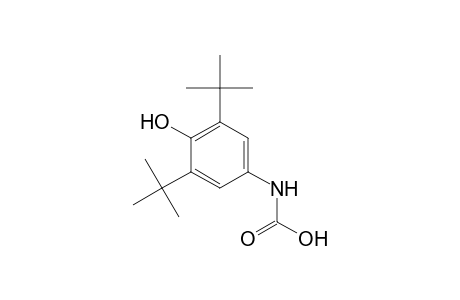 (3,5-ditert-butyl-4-hydroxy-phenyl)carbamic acid