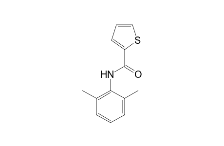 N-(2,6-Xylyl)-2-thiophenecarboxamide