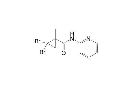 2,2-dibromo-1-methyl-N-(2-pyridinyl)cyclopropanecarboxamide