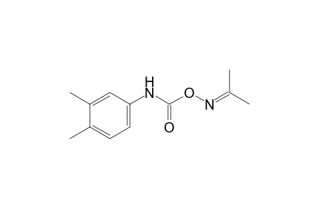 Acetone, o-[(3,4-xylyl)carbamoyl]oxime