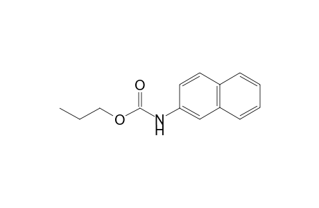 1-Propyl (naphthalene-2-yl)carbamate