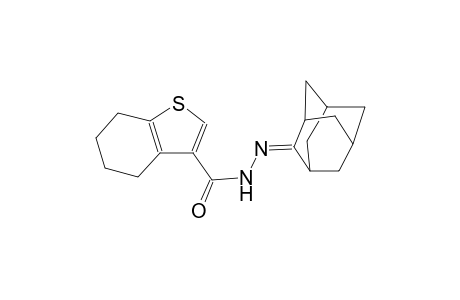 N'-tricyclo[3.3.1.1~3,7~]dec-2-ylidene-4,5,6,7-tetrahydro-1-benzothiophene-3-carbohydrazide