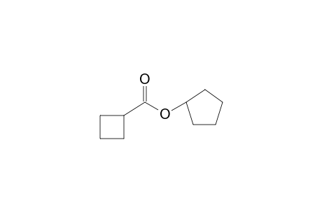 Cyclobutanecarboxylic acid, cyclopentyl ester