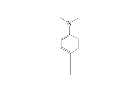 p-tert-BUTYL-N,N-DIMETHYLANILINE