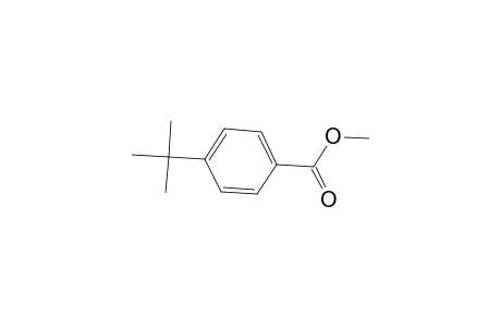 Methyl 4-tert-butylbenzoate