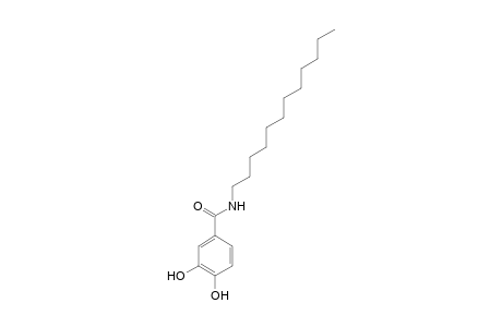 3,4-Dihydroxy-N-lauryl-benzamide