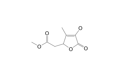 2-(4-hydroxy-5-keto-3-methyl-2H-furan-2-yl)acetic acid methyl ester