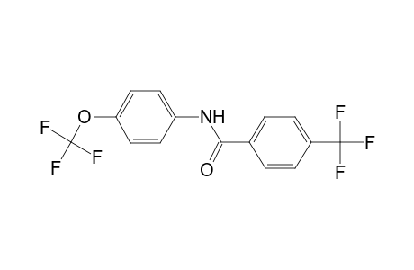 Benzamide, N-(4-trifluoromethoxyphenyl)-4-trifluoromethyl-