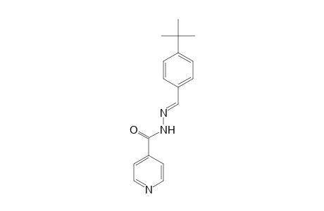 N'-[(E)-(4-tert-Butylphenyl)methylidene]isonicotinohydrazide