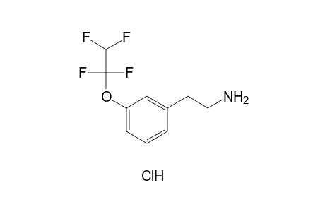 m-(1,1,2,2-tetrafluoroethoxy)phenethylamine, hydrochloride