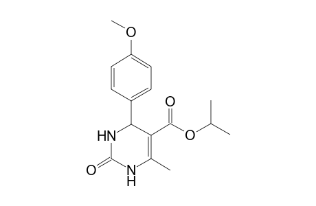 2-keto-4-(4-methoxyphenyl)-6-methyl-3,4-dihydro-1H-pyrimidine-5-carboxylic acid isopropyl ester