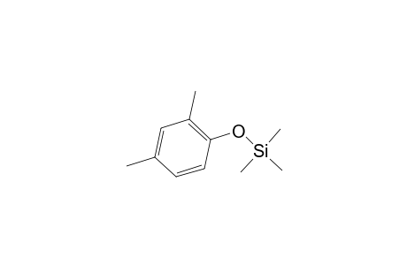 Phenol <2,4-dimethyl->, mono-TMS