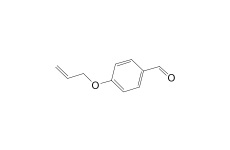 P-Allyloxy-benzaldehyde