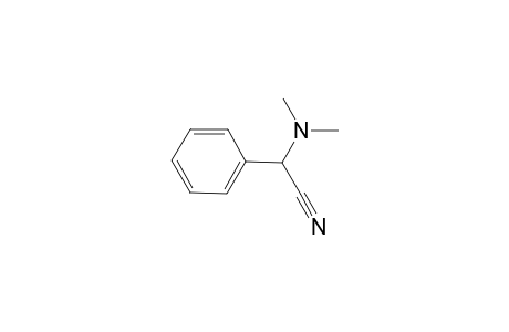 N,N-dimethyl-2-phenylglycinonitrile