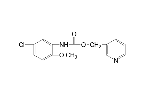 5-chloro-2-methoxycarbanilic acid, (3-pyridyl)methyl ester