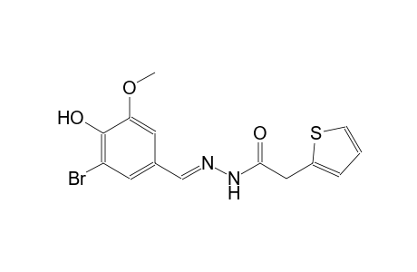 2-thiopheneacetic acid, 2-[(E)-(3-bromo-4-hydroxy-5-methoxyphenyl)methylidene]hydrazide