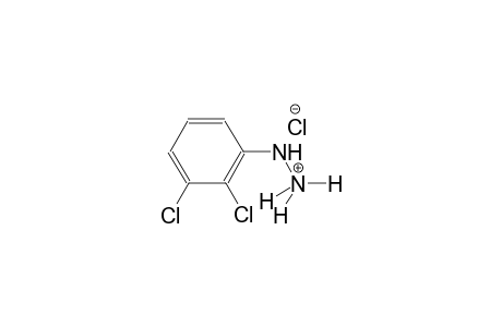 2,3-Dichlorophenylhydrazine hydrochloride