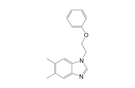 1H-benzimidazole, 5,6-dimethyl-1-(2-phenoxyethyl)-