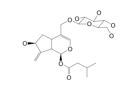 SERRULATOLOSIDE