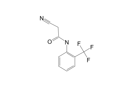 2-Cyano-N-[2-(trifluoromethyl)phenyl]acetamide