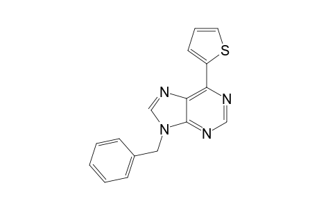 9-(Phenylmethyl)-6-thiophen-2-yl-purine