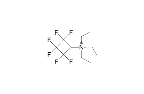 TRIETHYLAMMONIUM-2,2,3,3,4,4-HEXAFLUOROCYCLOBUTANE-YLIDE