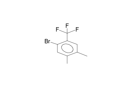 1,2-DIMETHYL-4-TRIFLUOROMETHYL-5-BROMOBENZENE