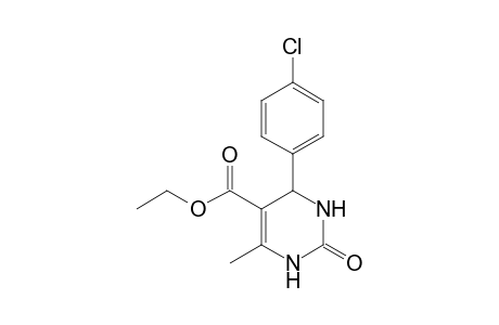 4-(4-Chlorophenyl)-2-keto-6-methyl-3,4-dihydro-1H-pyrimidine-5-carboxylic acid ethyl ester