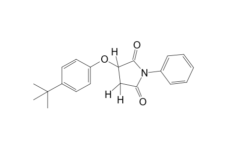 2-(p-tert-butylphenoxy)-N-phenylsuccinimide