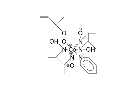 (2-Methyl-but-3-en-2-yl)-peroxy-pyridinato-cobaloxime