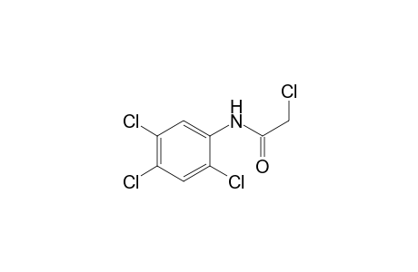 2,2',4',5'-tetrachloroacetanilide