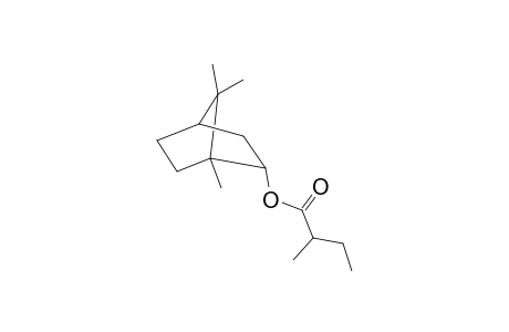 Bornyl 2-methylbutanoate