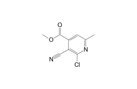 4-Pyridinecarboxylic acid, 2-chloro-3-cyano-6-methyl-, methyl ester