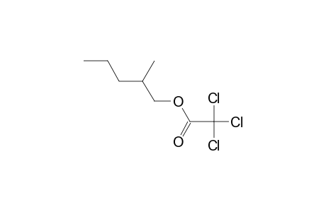 trichloroacetic acid, 2-methylpentyl ester