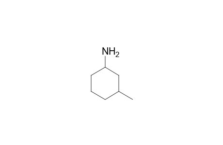 trans-3-METHYLCYCLOHEXYLAMINE