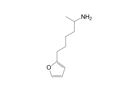 5-(2-Furyl)-1-methylpentylamine