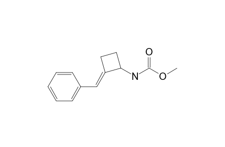 (N-Methoxycarbonylamino)benzylidenecyclobutane