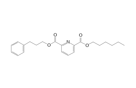 2,6-Pyridinedicarboxylic acid, hexyl 3-phenylpropyl ester