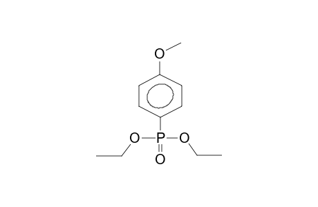 (4-Methoxy-phenyl)-phosphonic acid diethyl ester