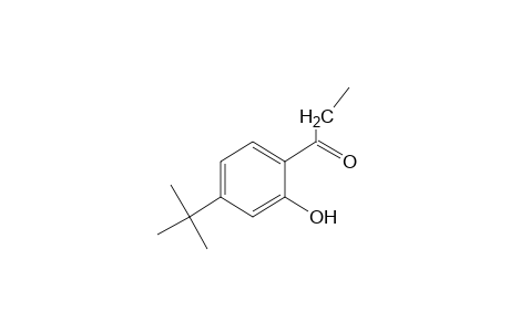 4'-tert-butyl-2'-hydroxypropiophenone