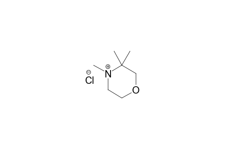 3,3,4-TRIMETHYL-MORPHOLINE-HYDROCHLORIDE