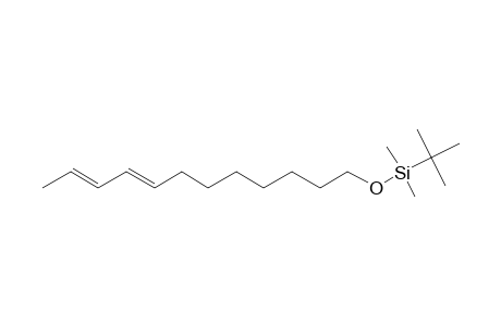 8,10-Dodecadien-1-ol, (E,E)-, tbdms derivative