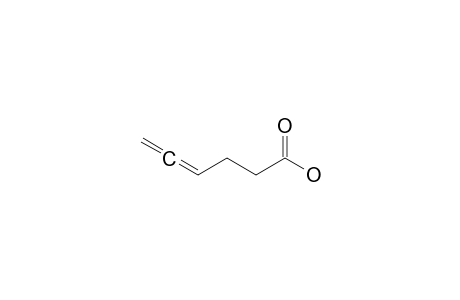 4,5-Hexadienoic acid